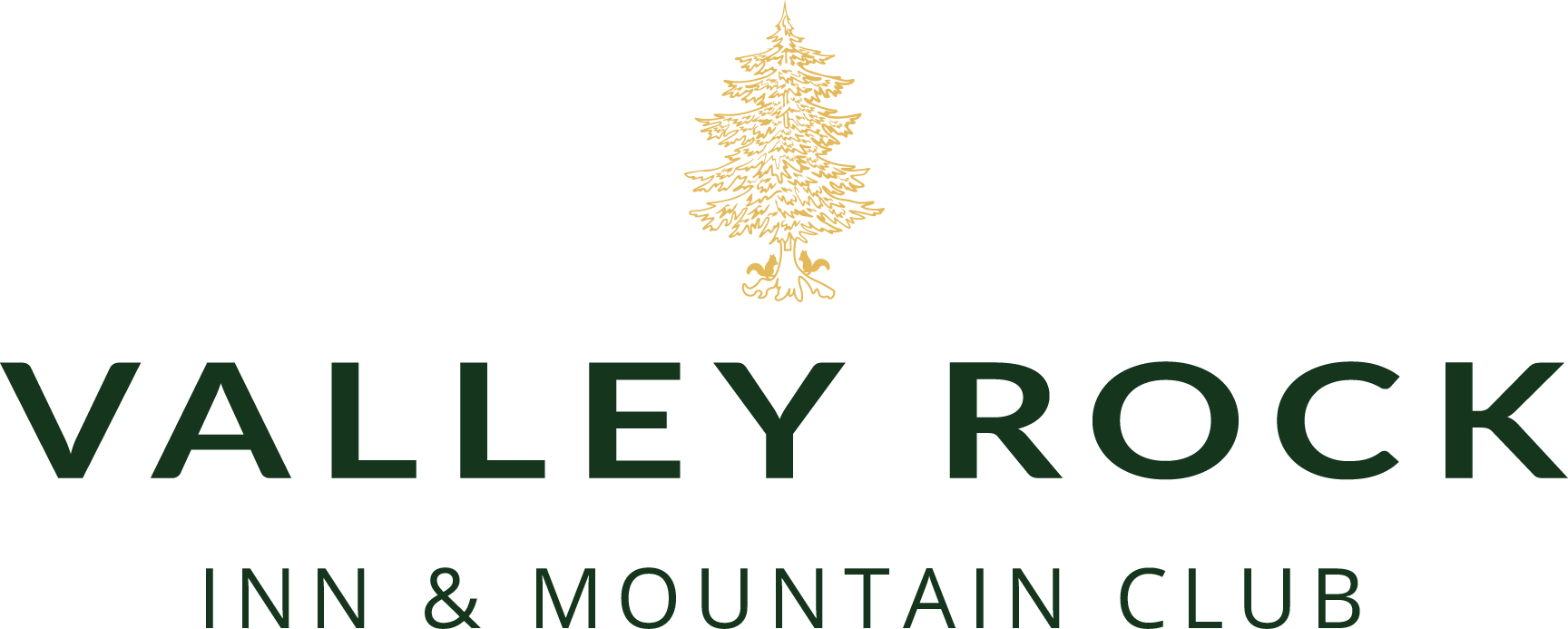 valley-rock-logo_white